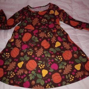 Autumn dress 4t The Children's place